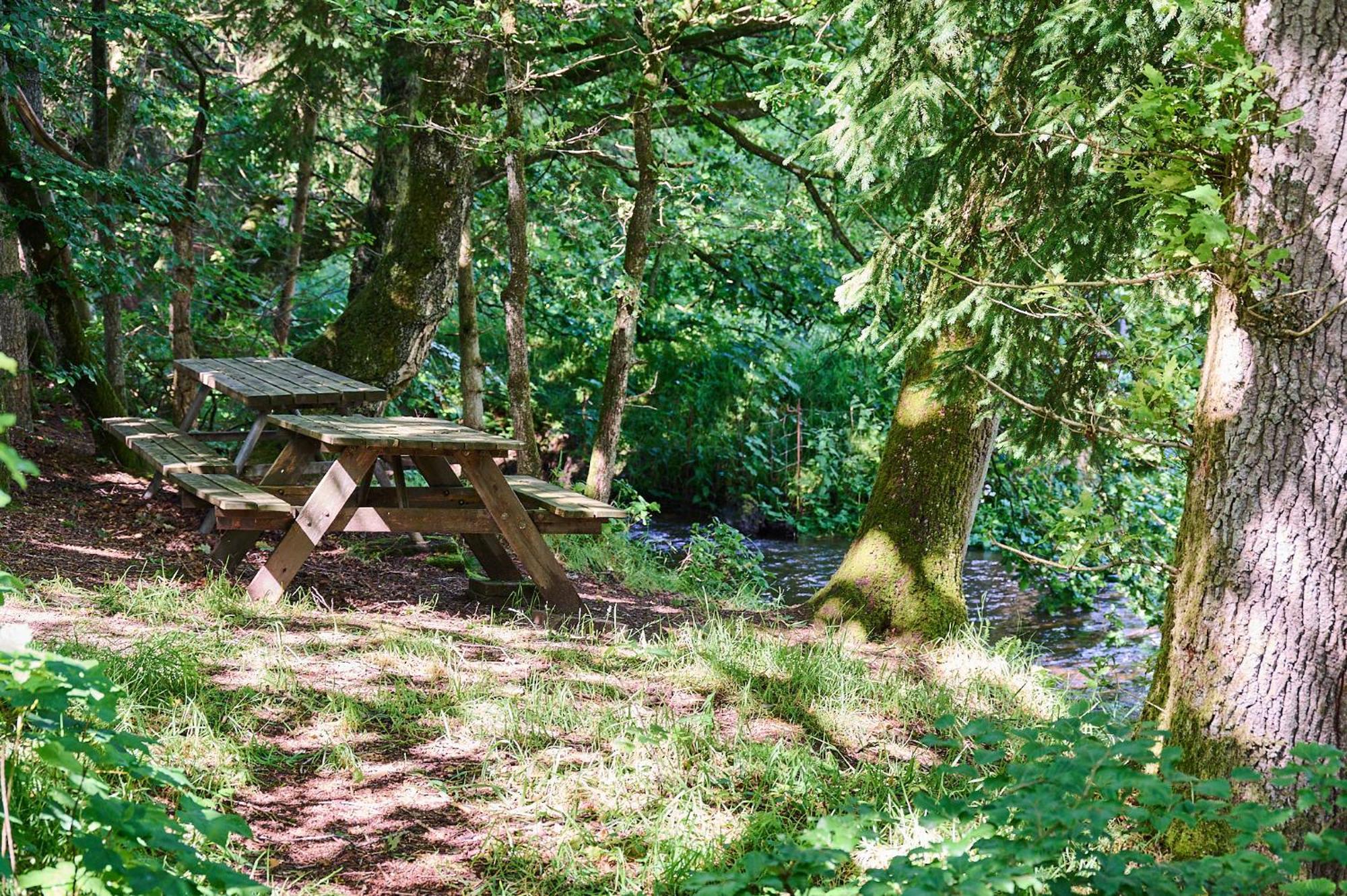 Randboldal Camping & Cabins Exterior photo