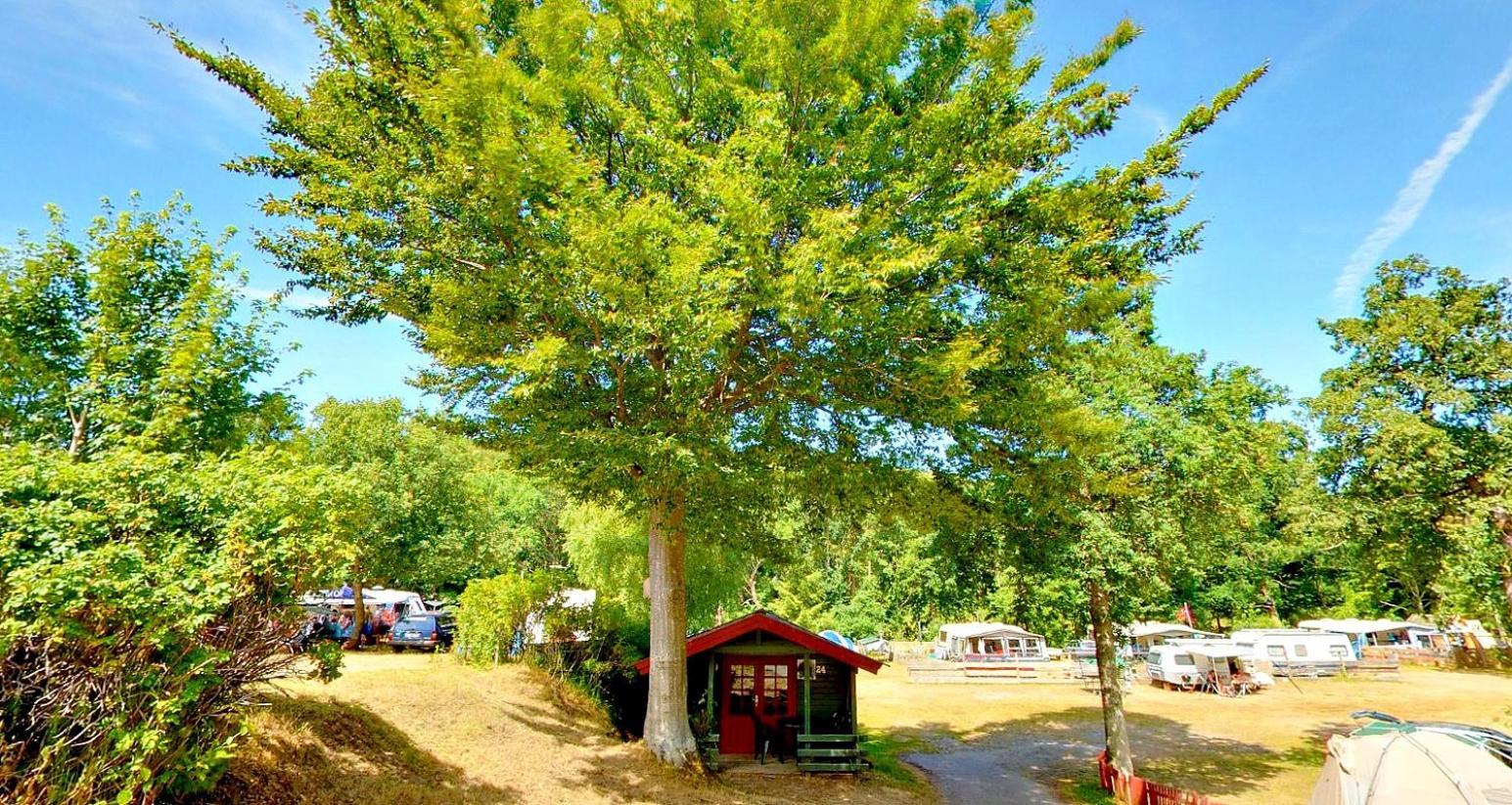 Randboldal Camping & Cabins Exterior photo