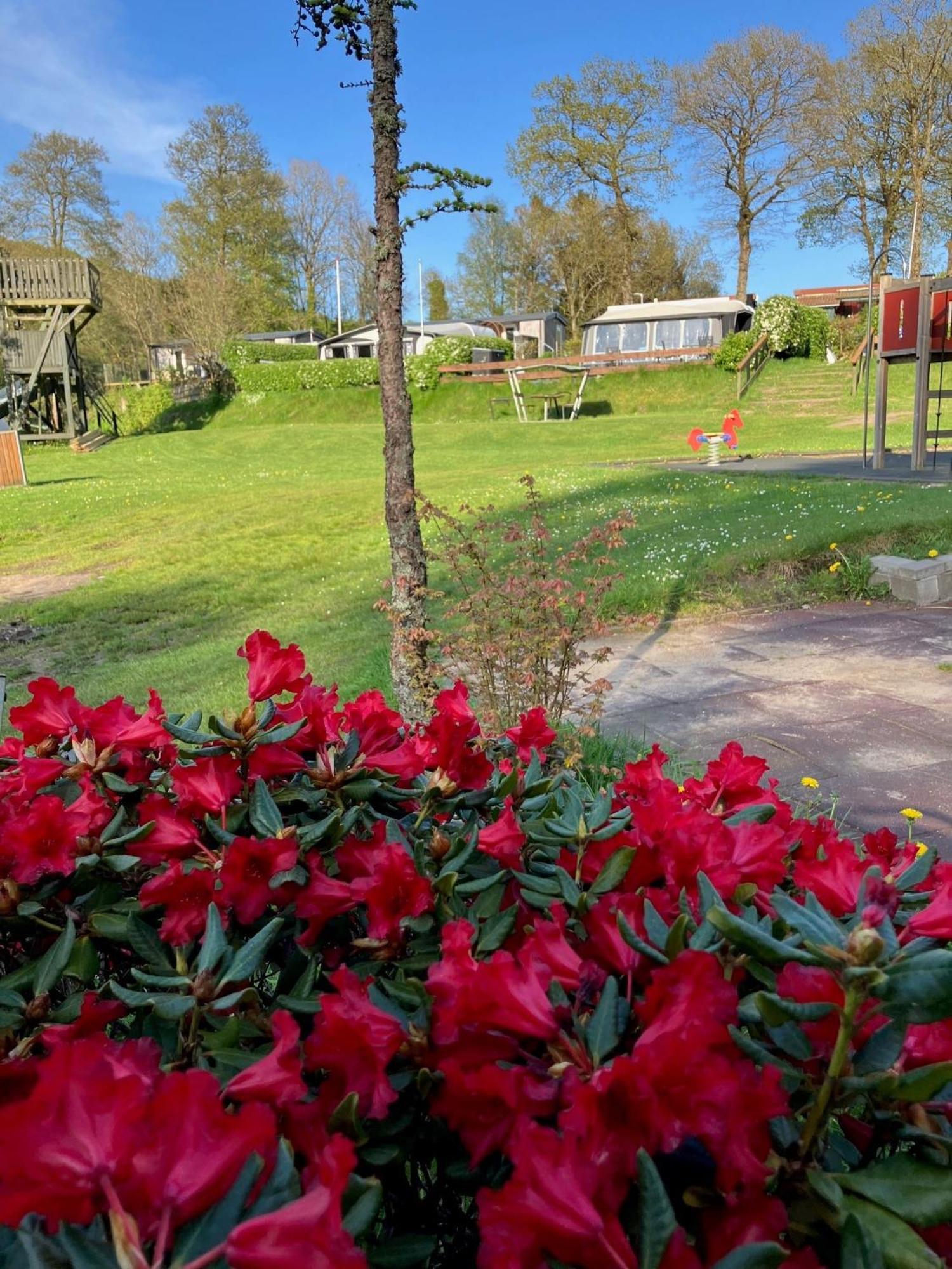 Randboldal Camping & Cabins Exterior photo